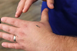 rfid implanted in human body