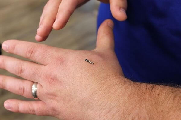 rfid implanted in human body