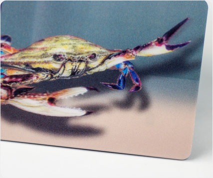 3D Lenticular