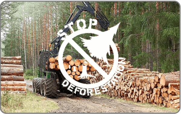 deforestation