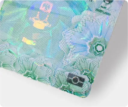 Holographic Overlay