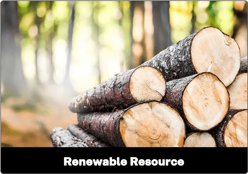 Renewable Resource